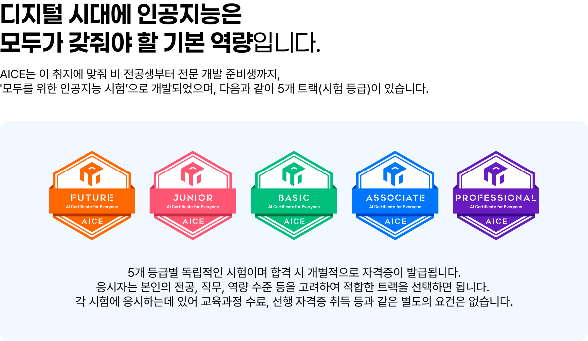 AICE 5개 등급 뱃지 - FUTURE, JUNIOR, BASIC, ASSOCIATE, PROFESSIONAL