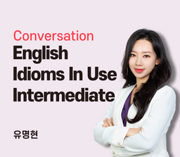 English Idioms in Use Intermediate